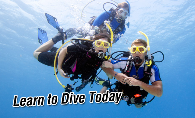 Une formation PADI permet-elle de travailler en France ?