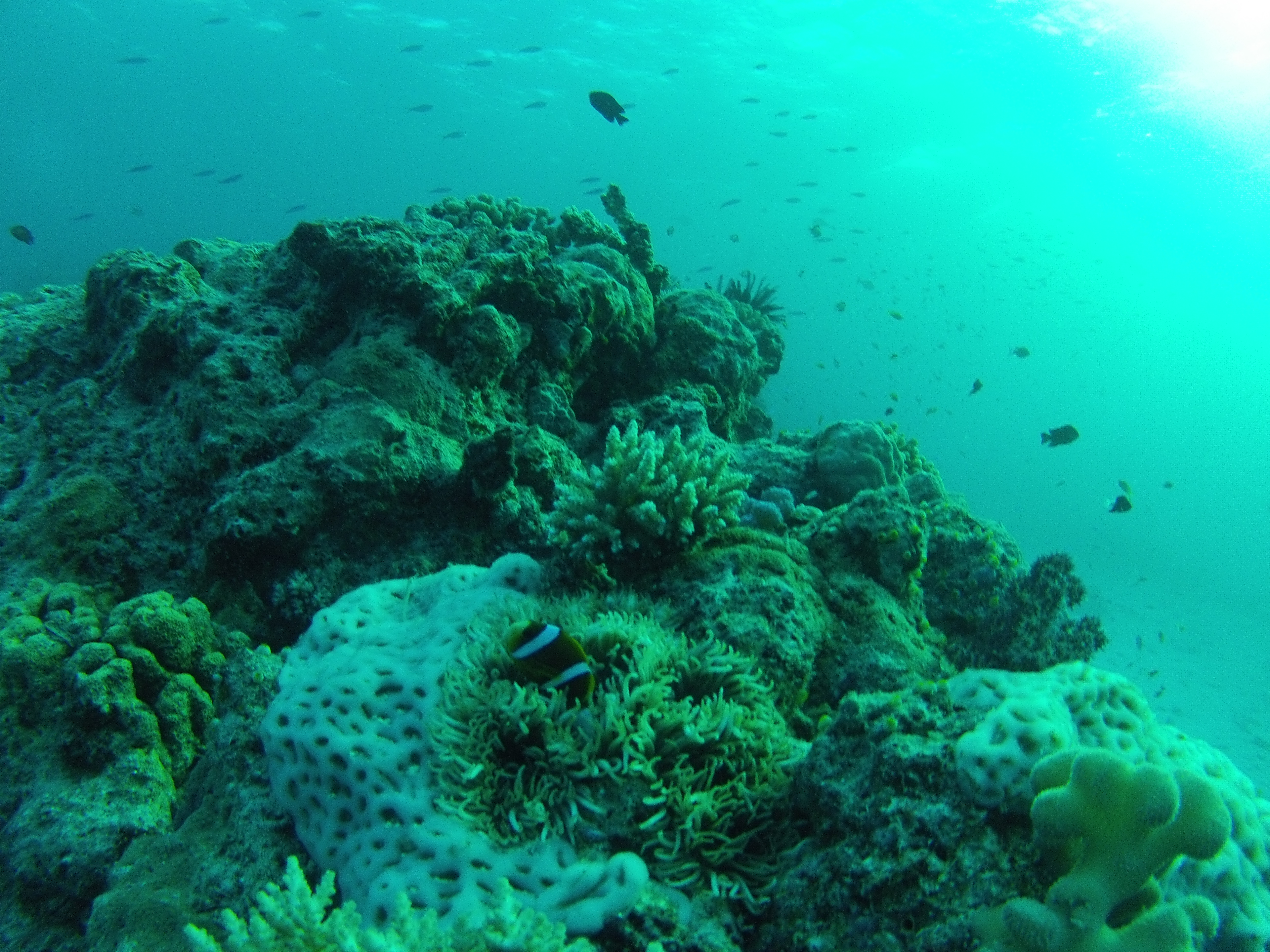 Travailler à Cairns : Deuxième partie du voyage!