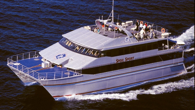 Comment travailler dans la plongée sur la Grande Barrière de Corail? 2