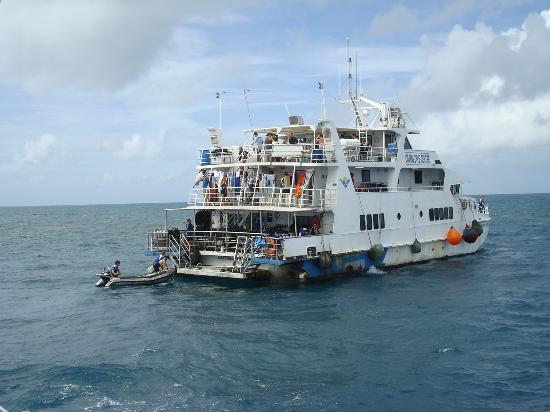 Travailler à Cairns : être bénévole avec Cairns Dive Center