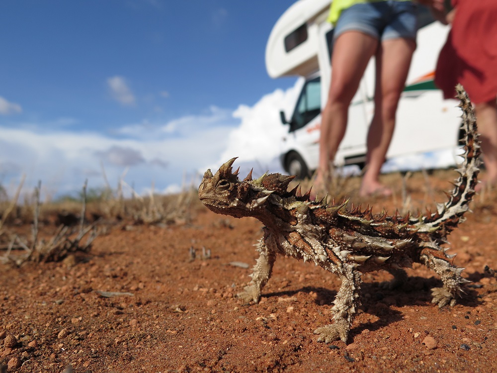 De Coral Bay à Monkey Mia