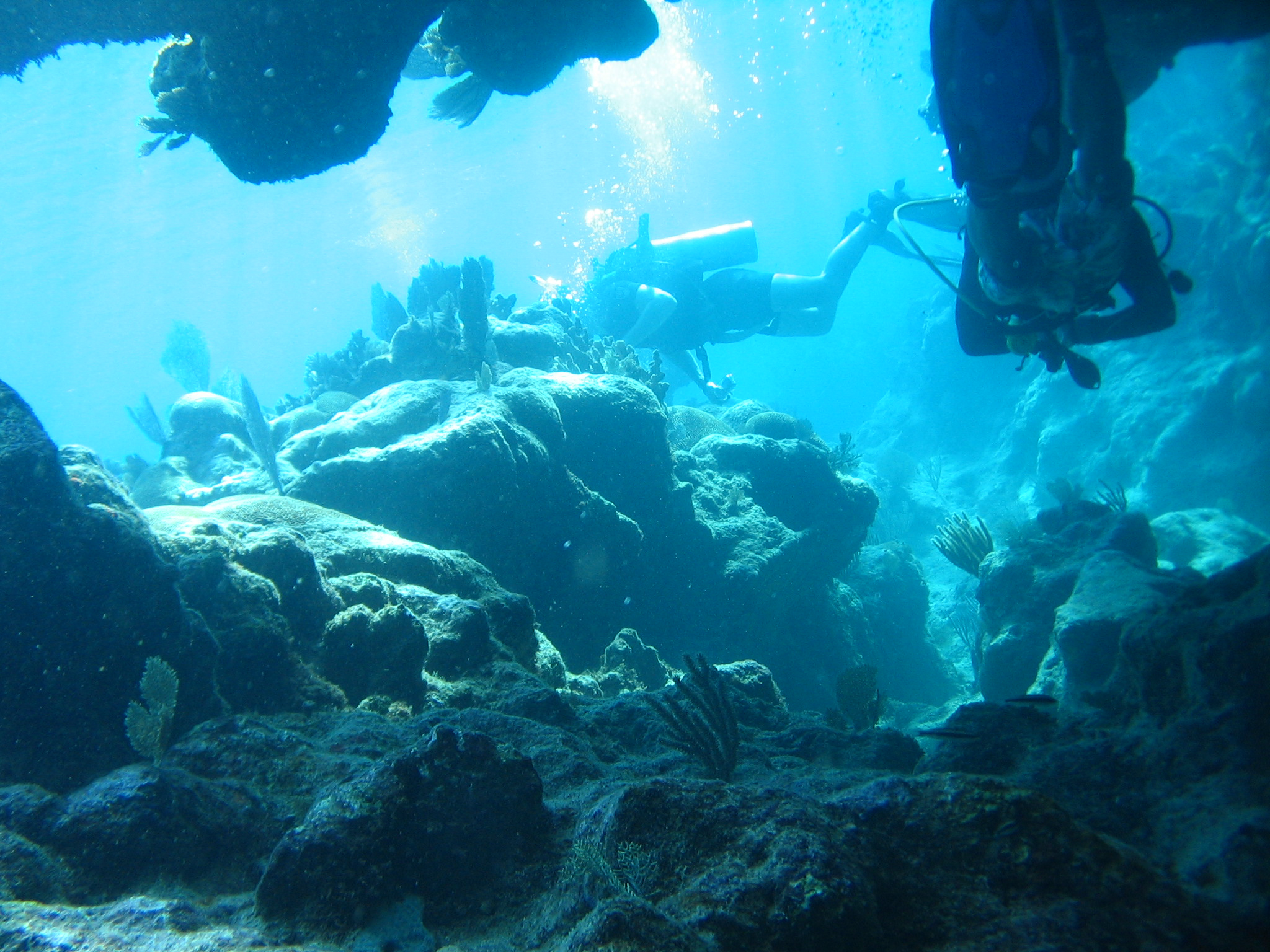 Les Bay Islands, la plongée au Honduras