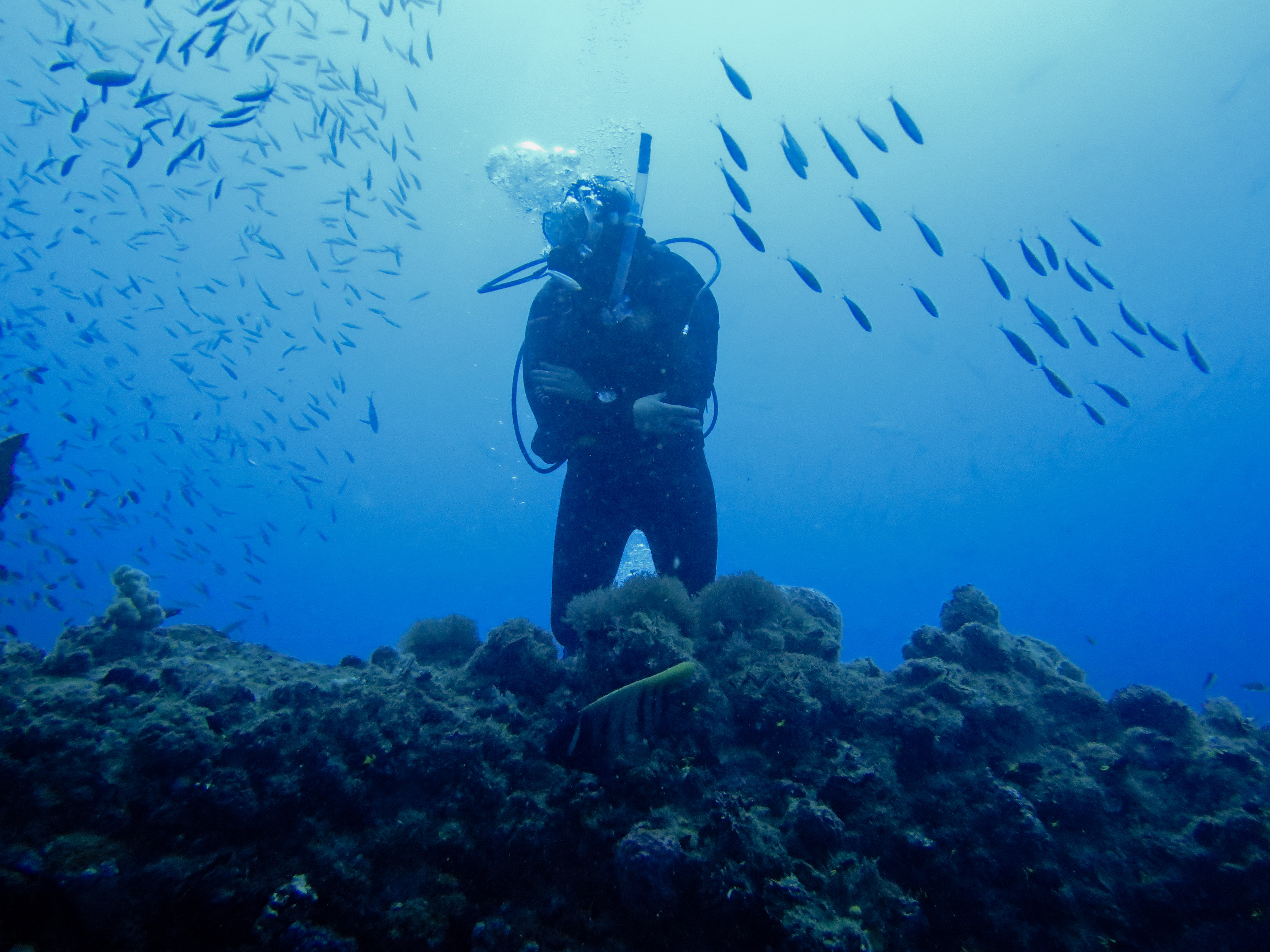 Les plongées spécialisées