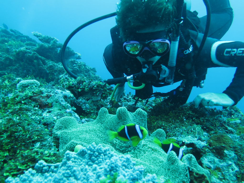 La plongée en Indonésie