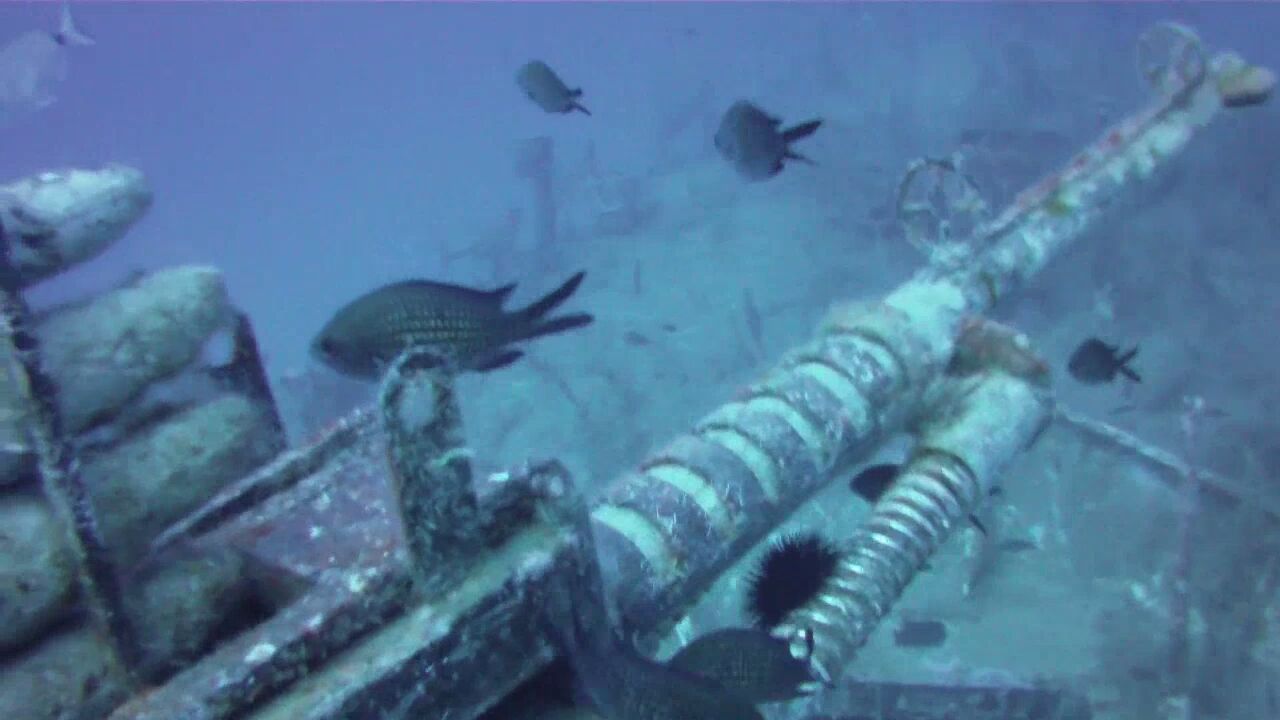 Malte_P29_15 meilleurs-plongees-croatie