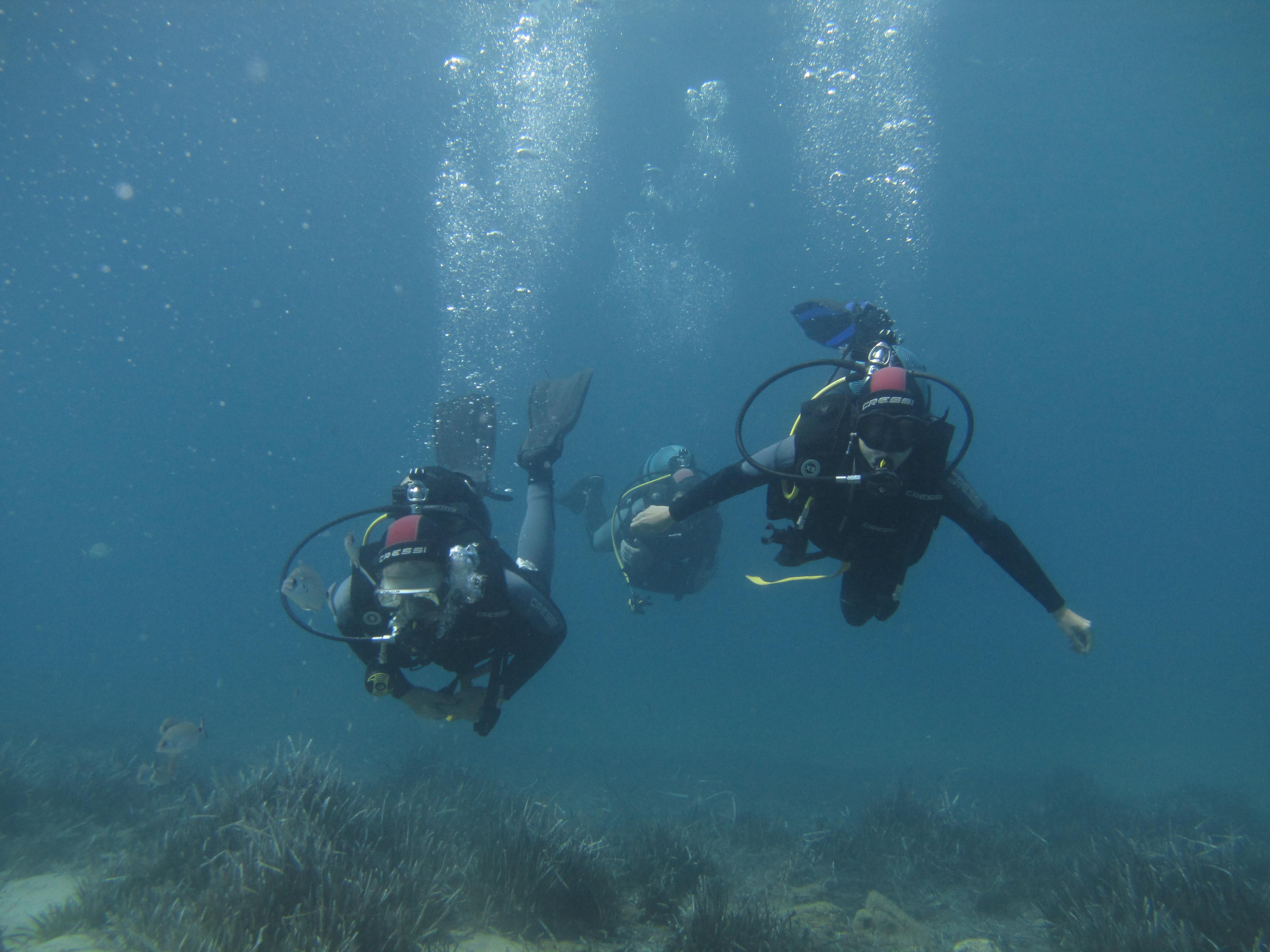 La formation chez Padi