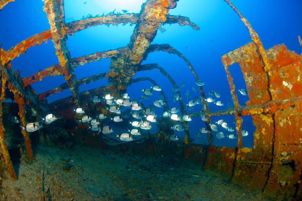 Les 10 plus beaux lieux pour pratiquer la plongée en Méditerranée